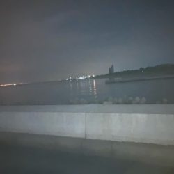 アジング、エギング