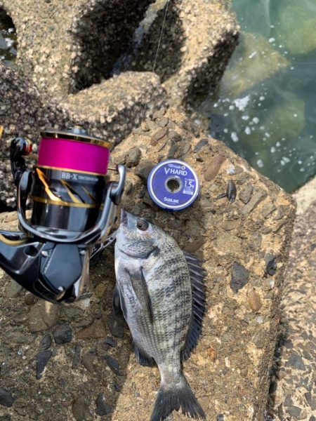 待ちに待ったフカセ釣行