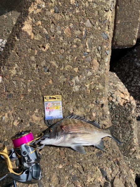 待ちに待ったフカセ釣行