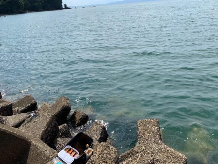 待ちに待ったフカセ釣行