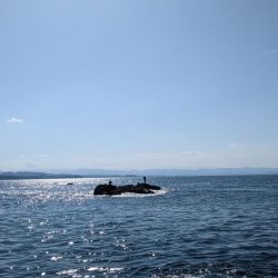 切目の沖磯でスーパーフカセゲーム🔥