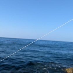 切目の沖磯でスーパーフカセゲーム🔥