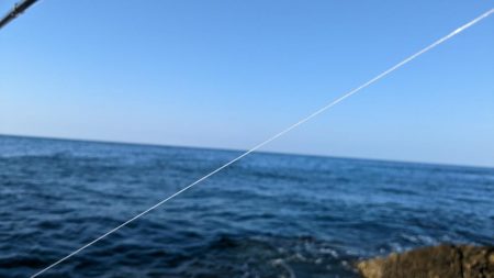 切目の沖磯でスーパーフカセゲーム🔥