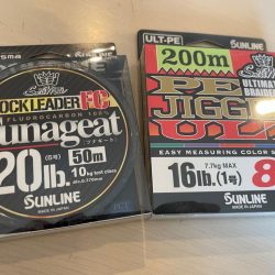 シャローロックフィッシュゲーム！