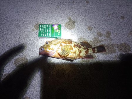 久しぶりの投稿