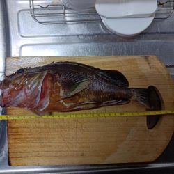 久しぶりの投稿