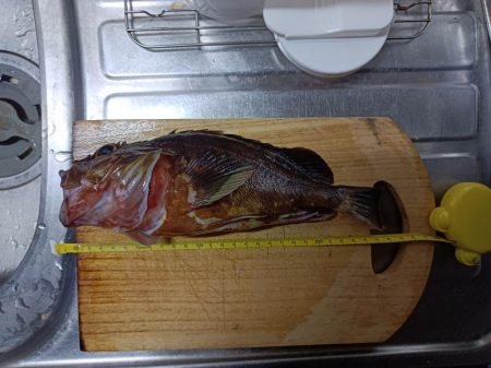 久しぶりの投稿