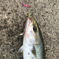 やる気が無いと…