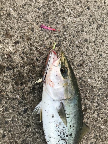 やる気が無いと…