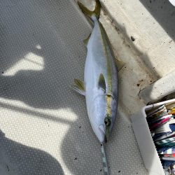 メジロクラスまで