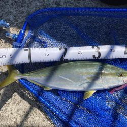 1バイト1キャッチ