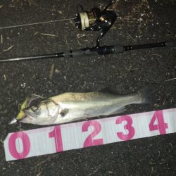 ががっときました。