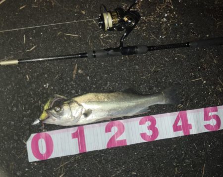 ががっときました。