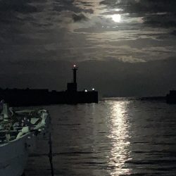 十五夜 満月エギング