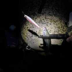 当たるって楽しい！