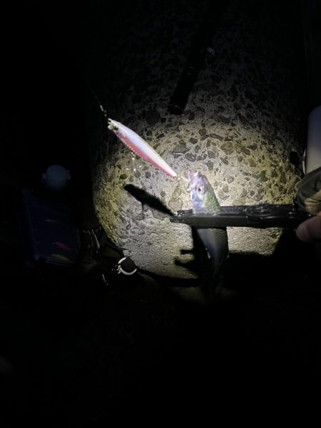 当たるって楽しい！