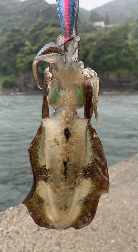 悪天候での秋開幕