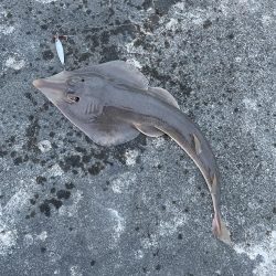 え〜！ なんや〜