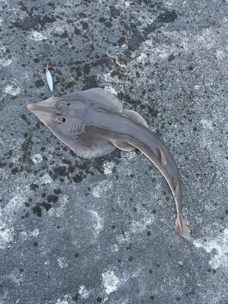 え〜！ なんや〜