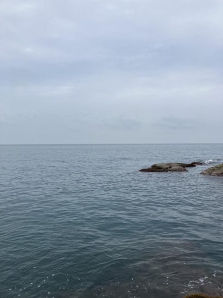 初デイ　アオリイカ