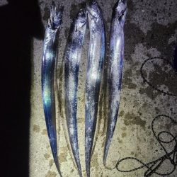 夕マヅメの時合いで