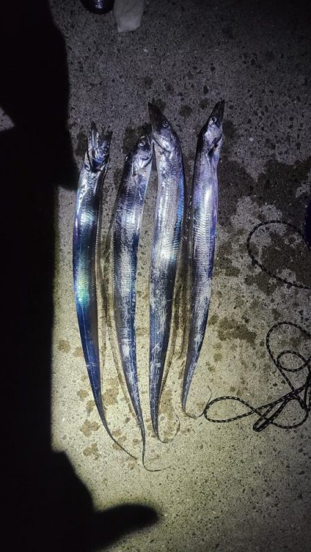 夕マヅメの時合いで