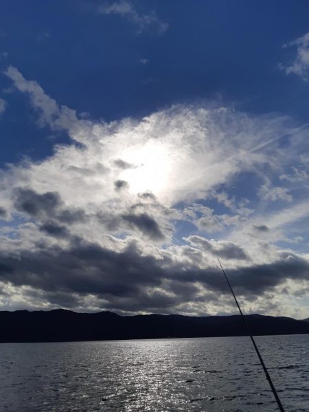 イカの気持ち１