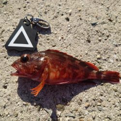 悔しいを誤魔化す