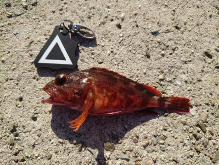 悔しいを誤魔化す