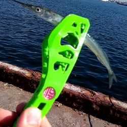 秋 まだ暑いけど(笑)