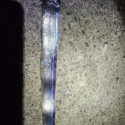 釣れるかもしれない！