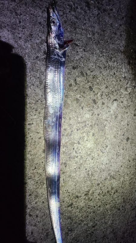 釣れるかもしれない！