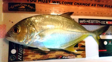 今季初メッキ！