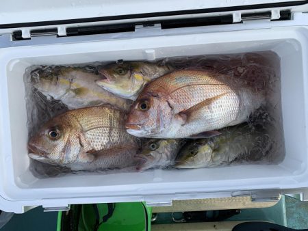 伊島周辺でシオ