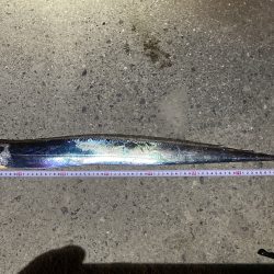 こちら久々の♪