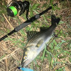 ががっときました。