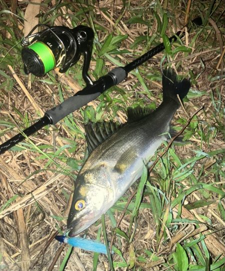 ががっときました。