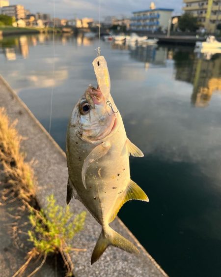 トップアジング