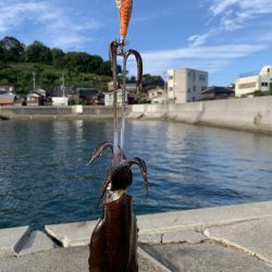 新子サイズしかおらんっ笑笑