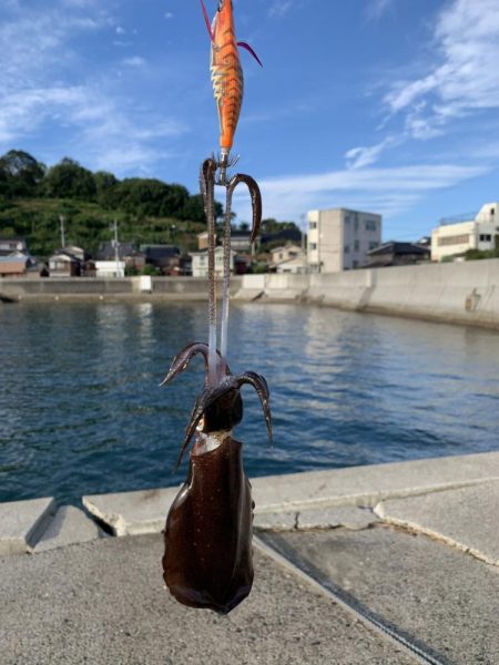 新子サイズしかおらんっ笑笑