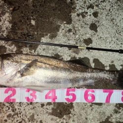 いいタイミングで入れて良かったぜ