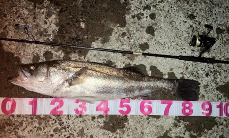 いいタイミングで入れて良かったぜ