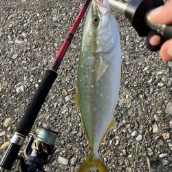 ショアジギ ング