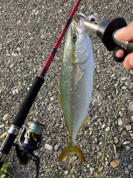 ショアジギ ング