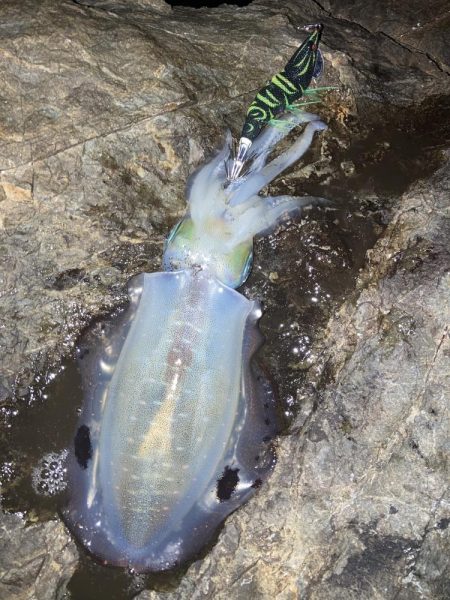 試しに3.5号投げてみた