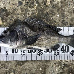 イチノ兄弟、釣果！