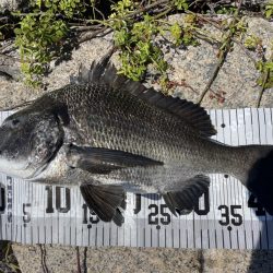 イチノ兄弟、釣果！