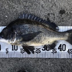 イチノ兄弟、釣果！