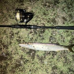 ががっときました。