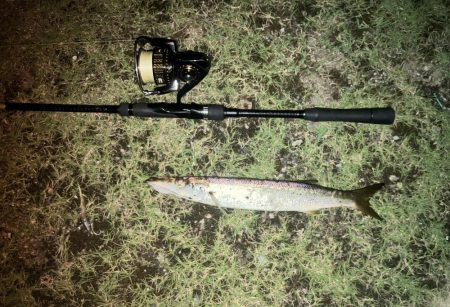 ががっときました。